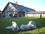 Laitse Granite Villa