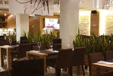 Zebra Café