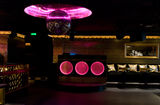 CatHouse