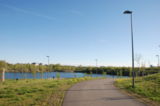 Pae Park