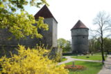 Komandandi Garden