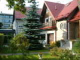 Nepi