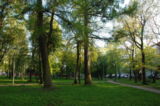Cederhelm's Park