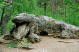 Glehnin puisto
