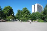 Tammsaare Park