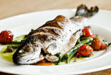Fish & Wine