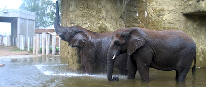 Free entry <br>to 40 top city attractions