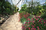 Botanischer Garten Tallinn